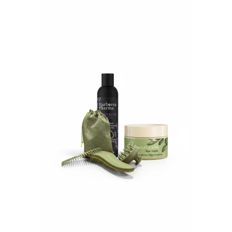 Christmas Balance Deluxe