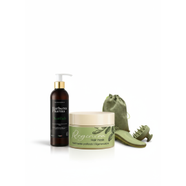 Christmas Regeneration Deluxe