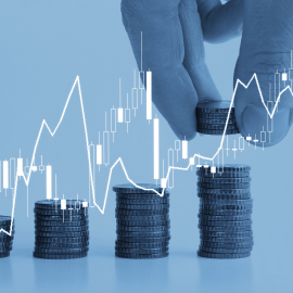 Service: Investment Funds – Management and Financial Consulting
