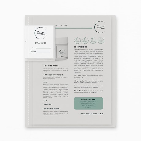 Skin Care Organizer