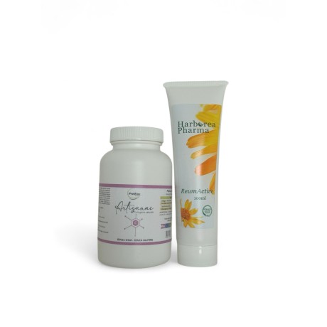 Set Wellness On-the-Go 